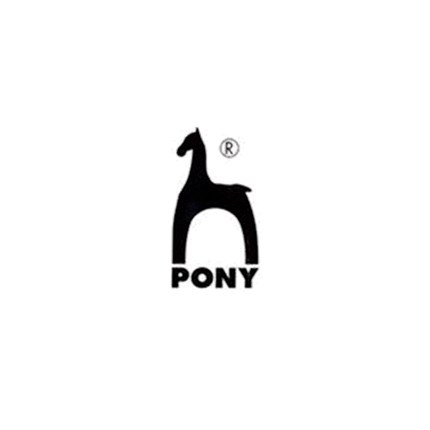 pony.png